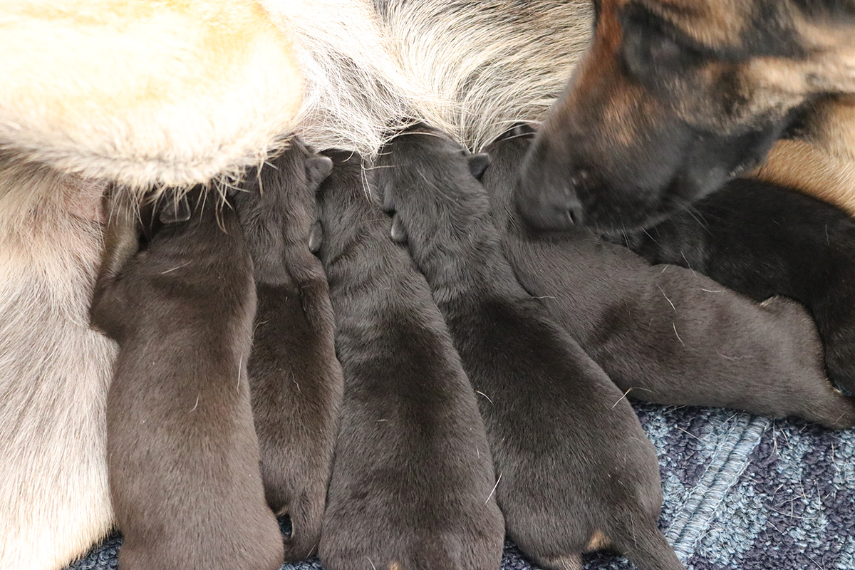 ROXY-LITTER-FEB-18-2021-FEBRUARY 19, 202125