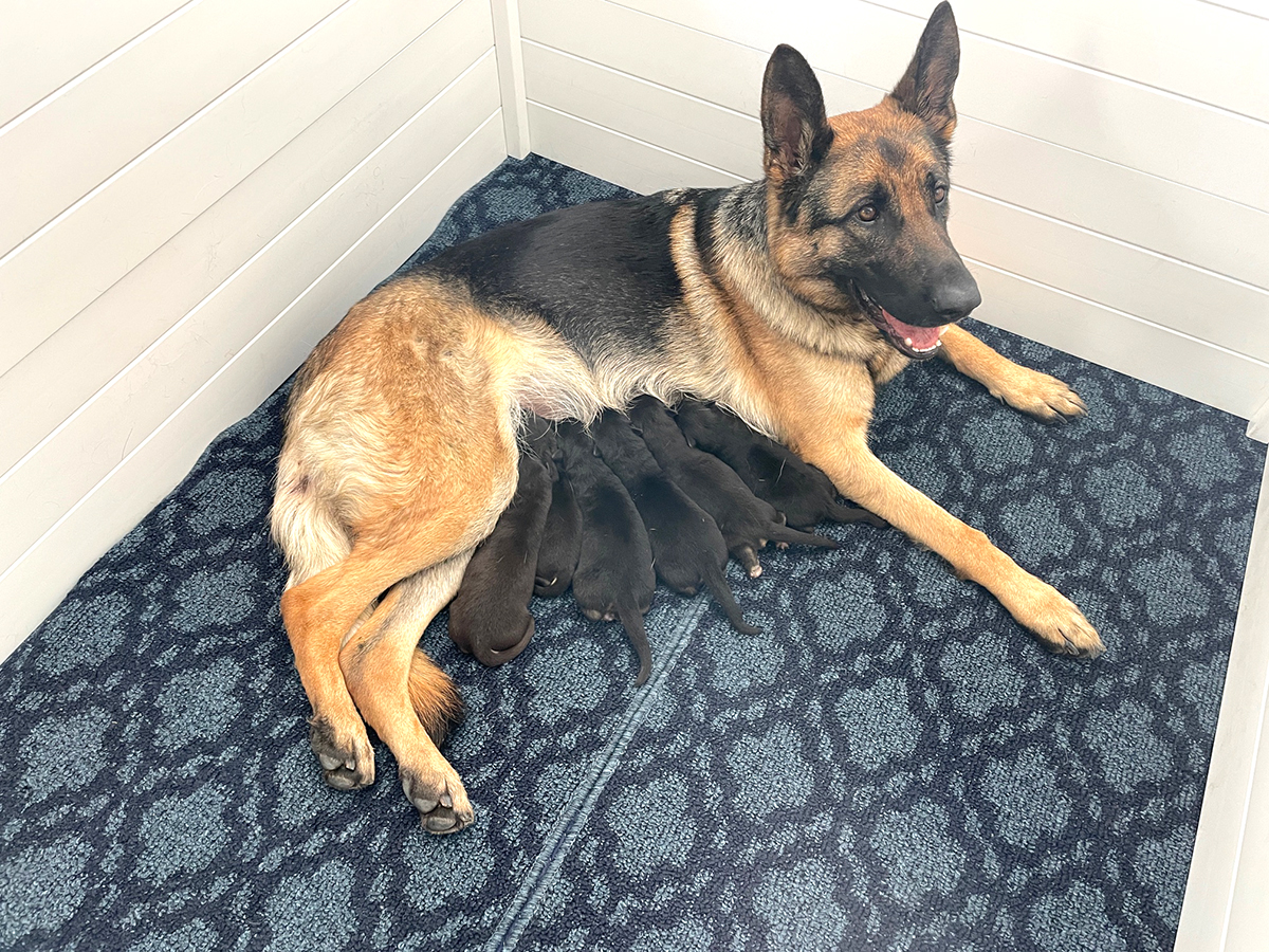 ROXY-LITTER-02-19-2021