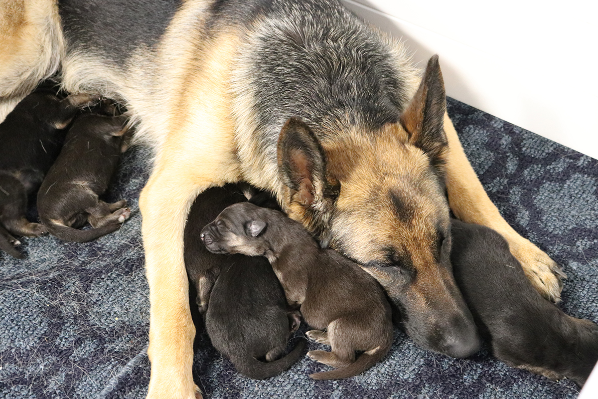 ROXY-LITTER-FEB-18-2021-135