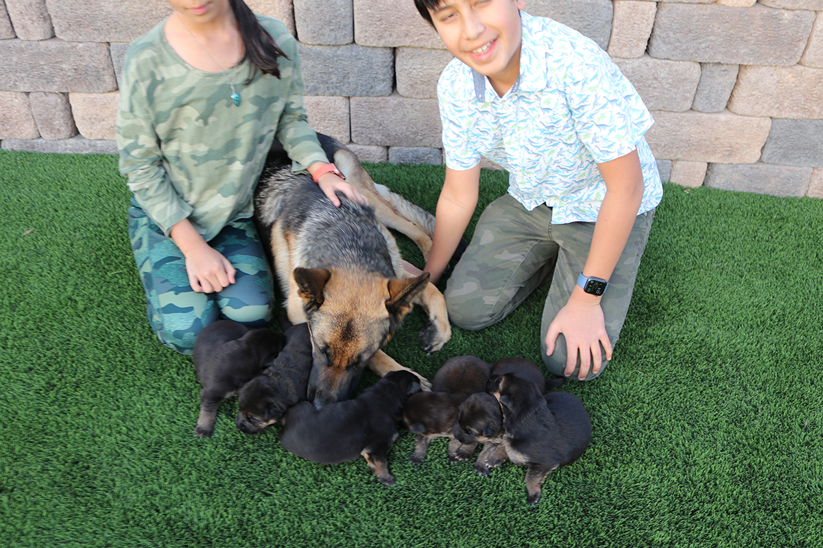 ROXY-PUPPIES-FEB-28-21-2